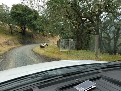 20190520_105749 (Large).jpg